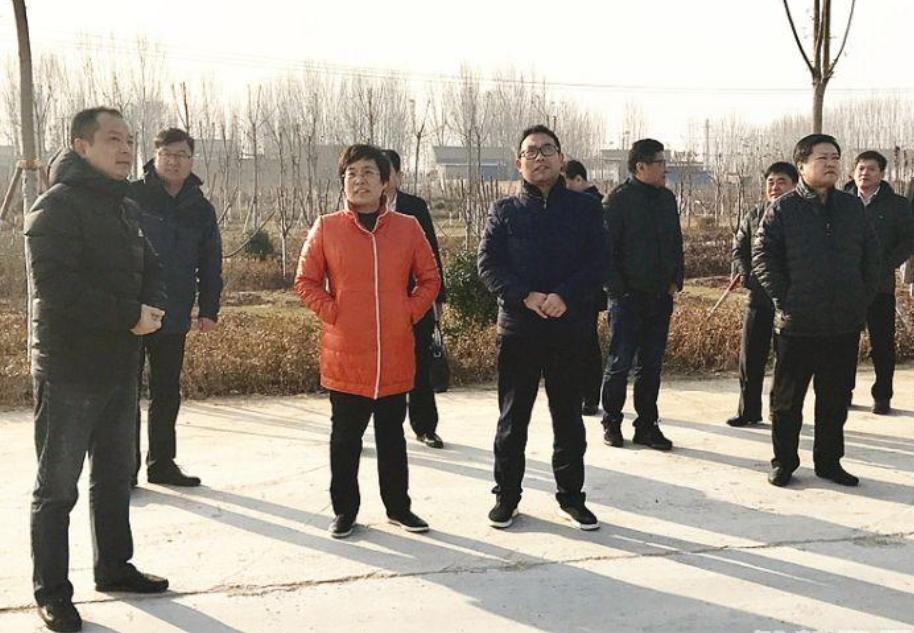 2345截图20171226091810.jpg